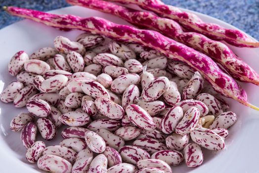 Pinto beans in a closeup