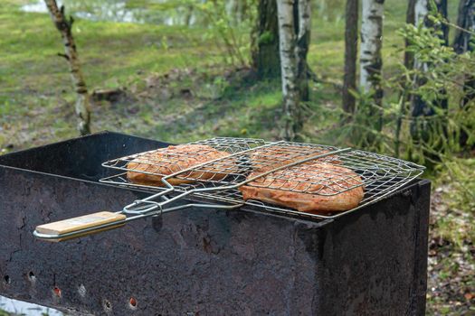 Pieces of meat in the grill are fried on the fire, the background is blurred. Stock photo.