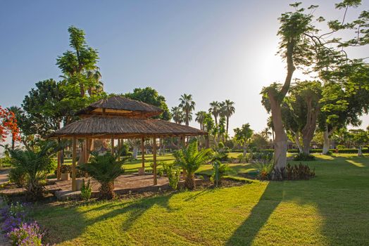 Panoramic landscape view of rural countryside public park outdoor area with tropical ornamental garden