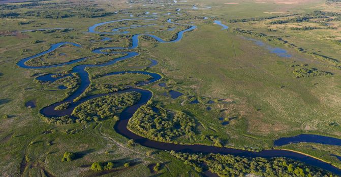 A winding river flows through a swampy plain and forest, aerial view.