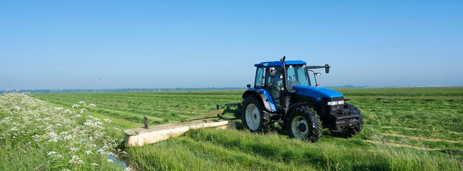 tractor in meadow with summer flowers mowing grass under blue sky in the netherlands in dutch province of utrecht