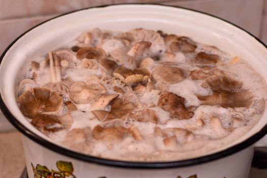 edible mushrooms are cooked in a saucepan. High quality photo