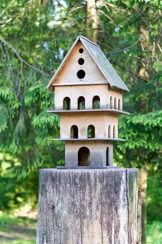 Multi storey bird house on a tree stump in the park, bird feeder
