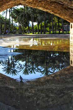 Stone bridge and reflections in a park puddle