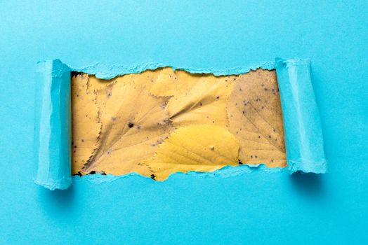 Tear on sheet reveals background behind the front side