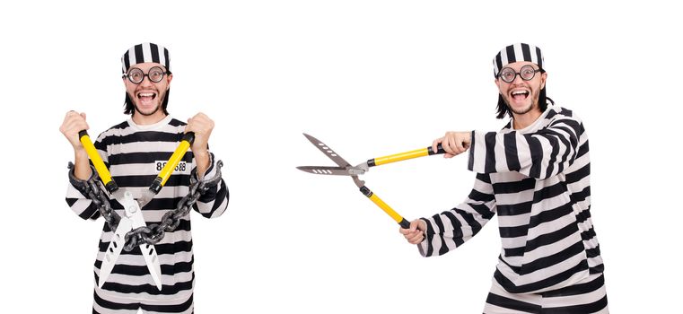 Prison inmate isolated on the white background