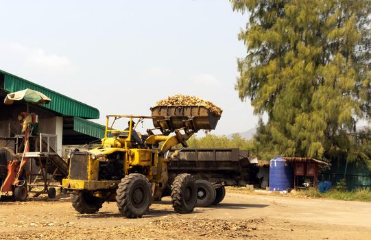Employees are using forklifts to scoop up wood chips from piles of wood shredded by wood chippers to fuel factories, deforestation concepts and greenhouse effect. 