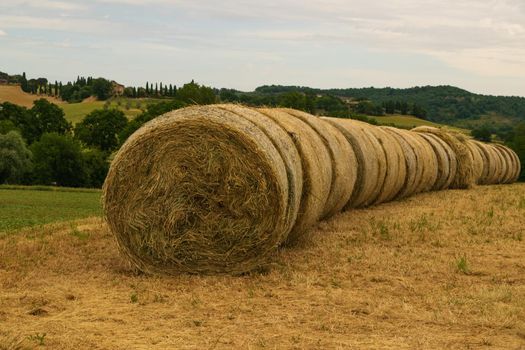 A closeup of some hay bales lying on a Tuscan hill.