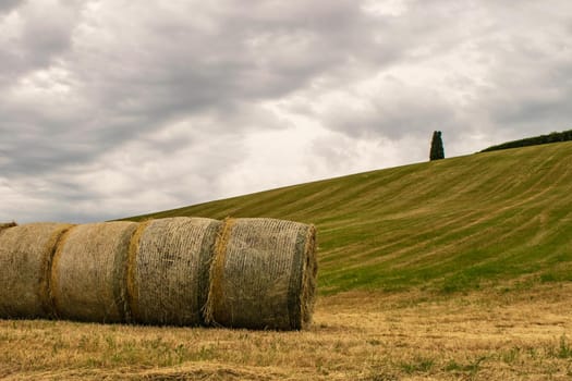 A closeup of some hay bales lying on a Tuscan hill.