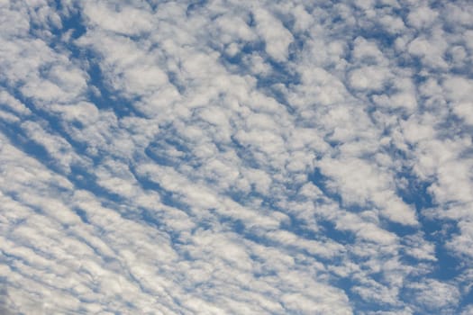 white evening altocumulus clouds on blue sky full frame background.