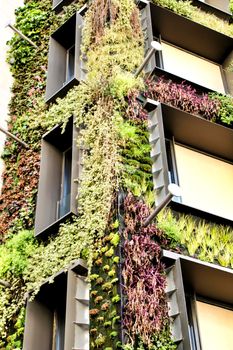 Beautiful modern facade with vertical garden in Madrid