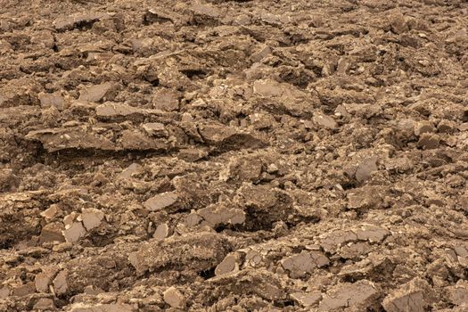 Abstract Background Texture Of A Tilled Or Plowed Field Ready For Planting