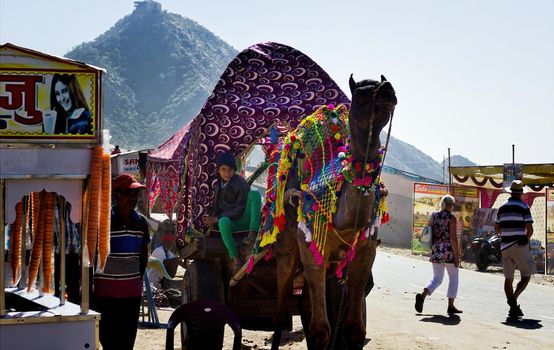 Pushkar, India - November 10, 2016: A decorated camel cart ride by a little boy on a commercial street of annually held pushkar fair or mela during day time