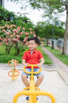 Happy little boy on seesaw outdoors