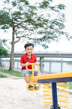 Happy little boy on seesaw outdoors