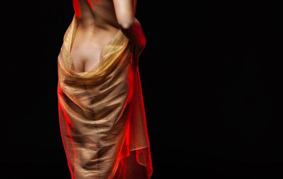 Elegant woman and beauty concept. Naked woman posing in the studio. View from the back