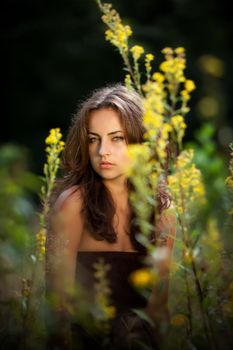 Soft portrait of a young woman on flowers field blured background