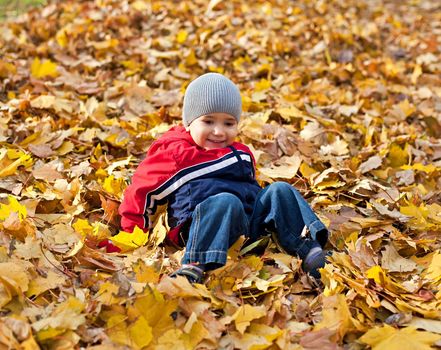 A little boy played with fallen autumn leaves