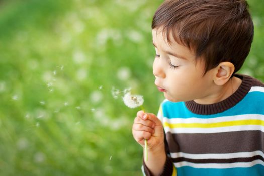 Kid blowing dandelion outdoor on green