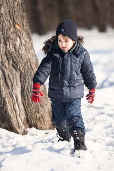 Cute boy walk in the winter park in sunny day