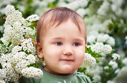 A little boy in the spring among the flowers