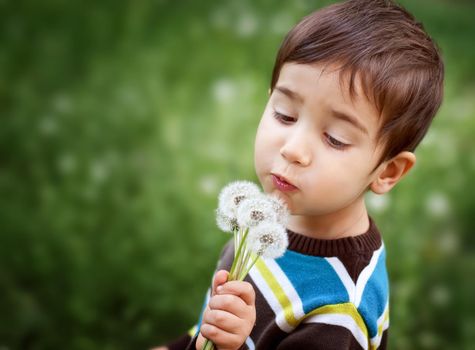 Kid blowing dandelion outdoor on green