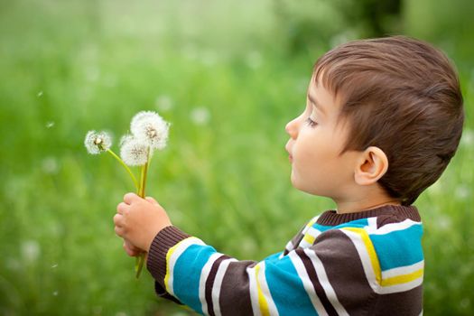 Kid blowing dandelion outdoor on green