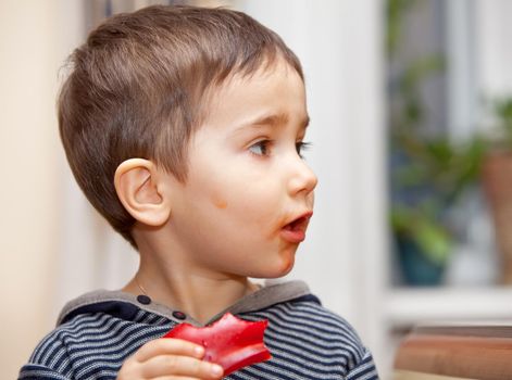 Little boy eating a piece of red pepper