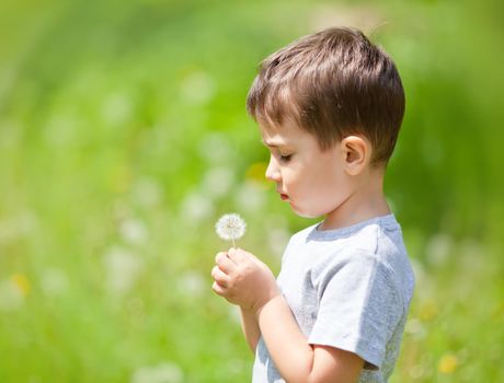 Little cute boy looks on dandelion on blurred nature background