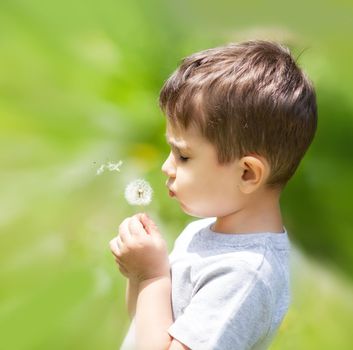 Little cute boy blowing dandelion on blurred nature background