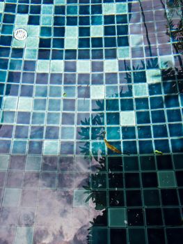 Reflection of  trees and dried leaf in the pool