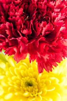 Vivid color of red carnation and yellow chrysanthemum in the flower bouquet