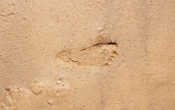 A child's human footprint on the wet sand.