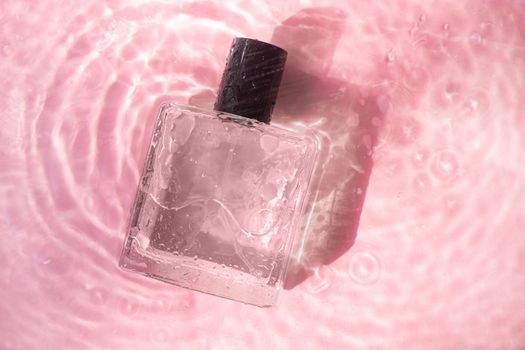 Perfume bottle on the background and water drops. A bottle of perfume without inscriptions . Smell. Perfume on a pink background. Water drops. Copy space. Article about the choice of perfume
