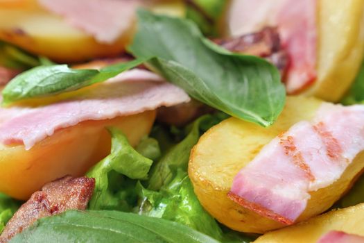 Macro food fried potatoes with meat and herbs mix. Fried bacon salad dinner dish meat. Roasted potatoes dish background. Hot salad meat and potatoes, basil, french mustard, bacon grill, lettuce leaf