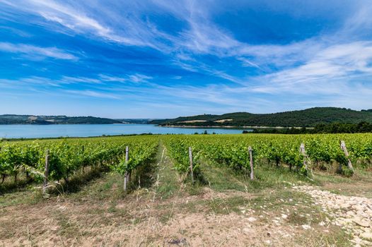 corbara lake in umbria with bathing areas in summer