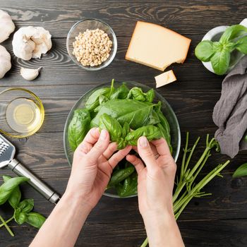 Italian Cuisine. Step by step cooking italian pesto sauce. Step 2 - separating basil leaves from stems