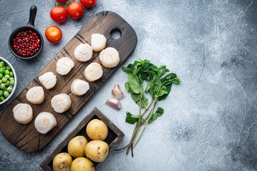 Raw fresh scallops with ingredient, flat lay, on grey background with space for text
