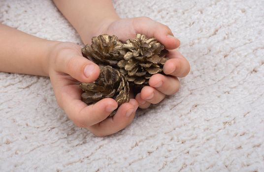 Little boy holding pine cones in hand on white background