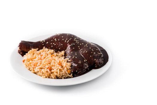 Traditional mole Poblano with rice plate close up