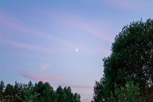 Growing crescent moon on the sunset sky on a summer evening and trees.