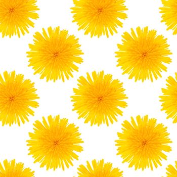 Seamless pattern made from dandelion yellow flowers isolated on a white background.