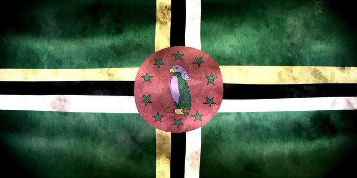 Dominica flag - realistic waving fabric flag