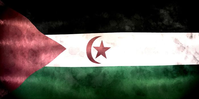 Western Sahara flag - realistic waving fabric flag