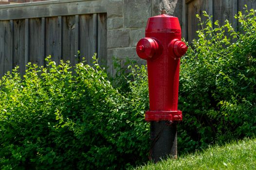 Red fire hydrant stands on the street sparkling with fresh paint