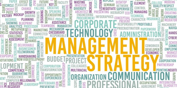 Management Strategy Business Success as a Concept