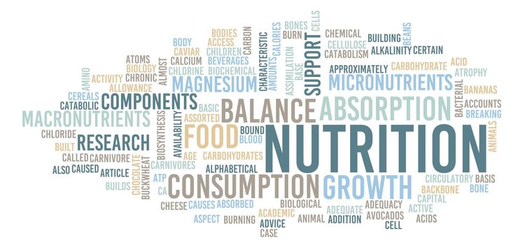 Nutrition as a Healthy Diet Concept Abstract
