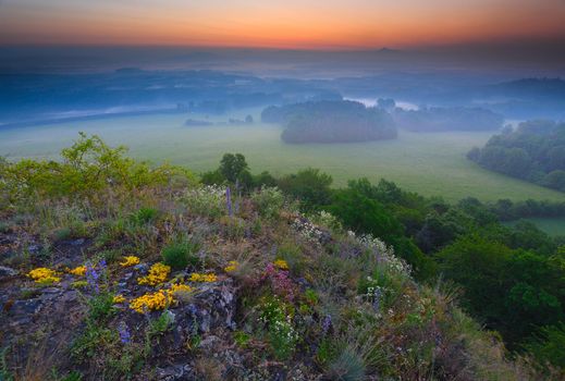 Foreground of a rocky mountain with a flowering bunch of goldmoss stonecrop. Sleeping landscape in the morning mist, clinker hidden behind the horizon.