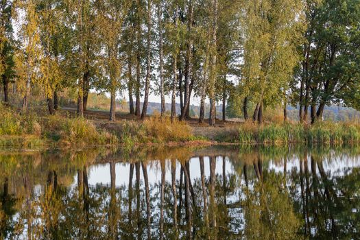 autumnal morning trees on small lake coast with reflections in still water surface