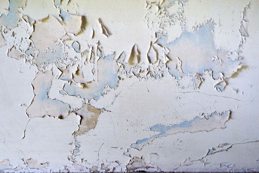 White paint peels off of a wall revealing the plaster and light blue colour underneath.